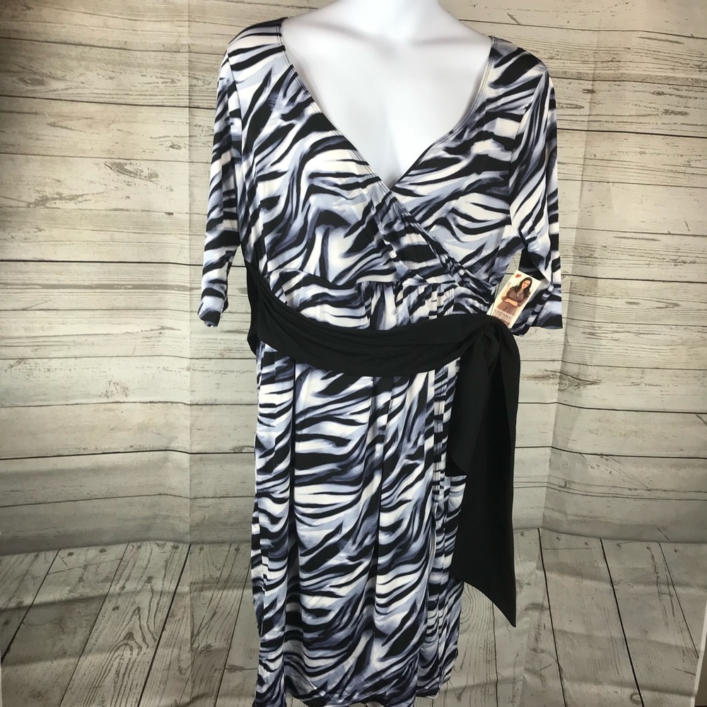 Kiyonna Dress